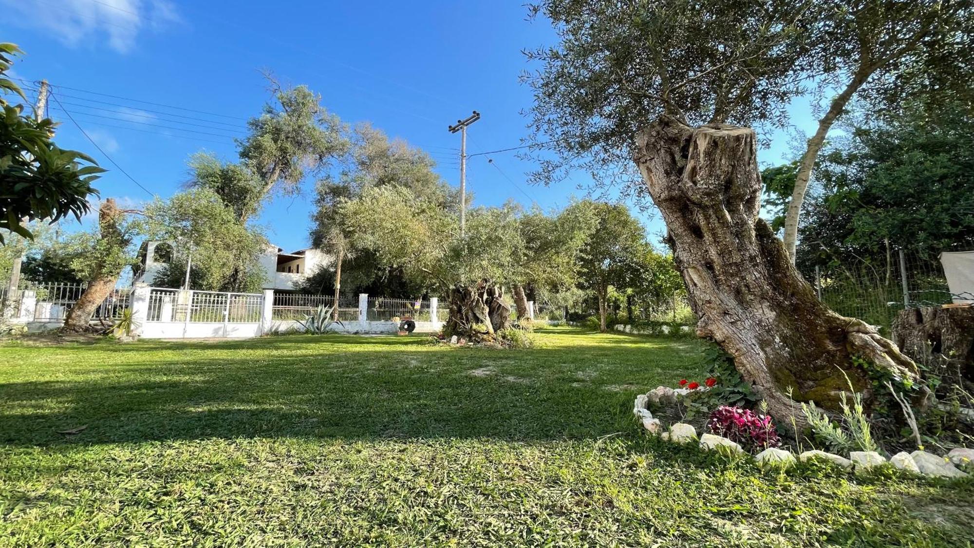 Nine Muses Apartments Kavos Exterior photo