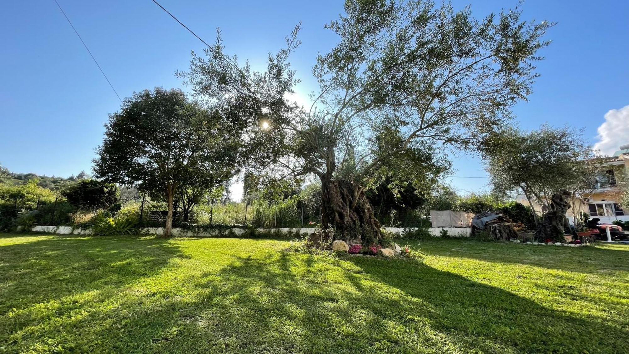 Nine Muses Apartments Kavos Exterior photo